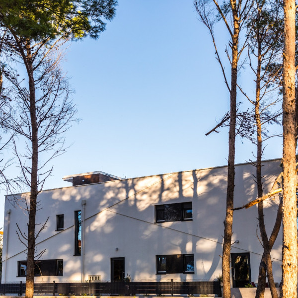 Olive Tree Mansion, Olive Tree Mansion, Luxury Apartments Vir