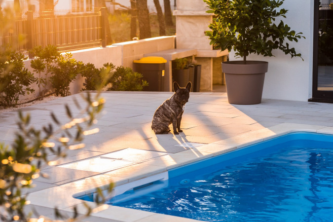 Exterior and surroundings, Olive Tree Mansion, Luxury Apartments Vir